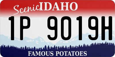ID license plate 1P9019H