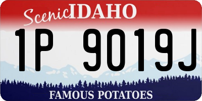 ID license plate 1P9019J