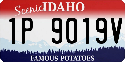 ID license plate 1P9019V