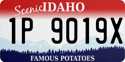 ID license plate 1P9019X