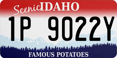 ID license plate 1P9022Y
