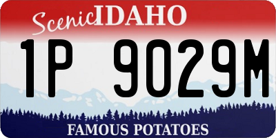 ID license plate 1P9029M