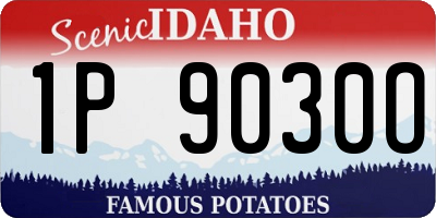 ID license plate 1P9030O