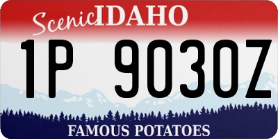 ID license plate 1P9030Z