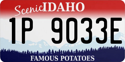ID license plate 1P9033E