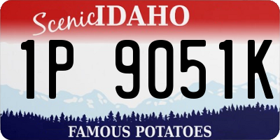 ID license plate 1P9051K