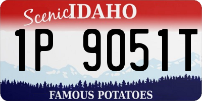 ID license plate 1P9051T