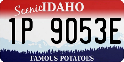 ID license plate 1P9053E