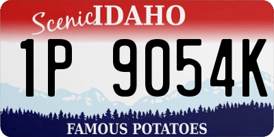 ID license plate 1P9054K