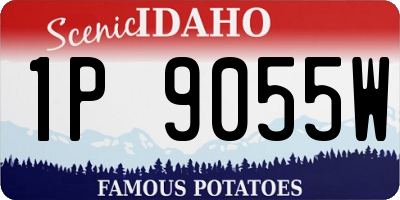 ID license plate 1P9055W