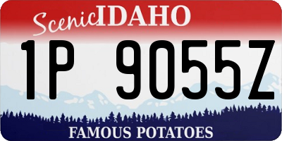 ID license plate 1P9055Z