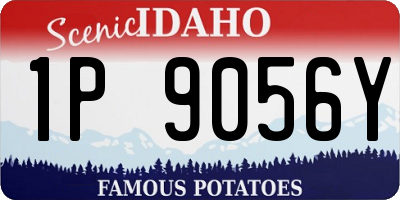 ID license plate 1P9056Y