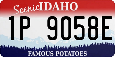 ID license plate 1P9058E
