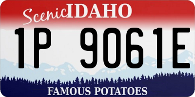 ID license plate 1P9061E