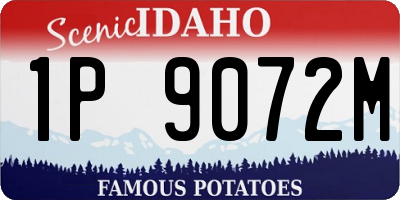 ID license plate 1P9072M