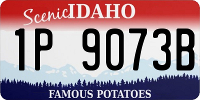 ID license plate 1P9073B