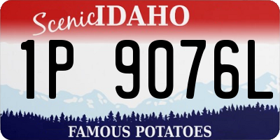 ID license plate 1P9076L