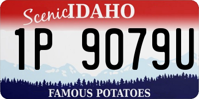 ID license plate 1P9079U