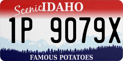 ID license plate 1P9079X