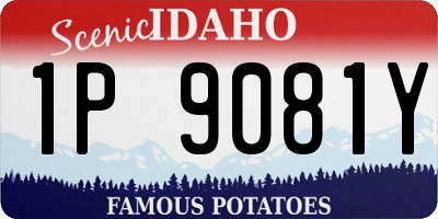 ID license plate 1P9081Y