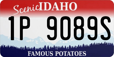ID license plate 1P9089S