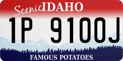 ID license plate 1P9100J
