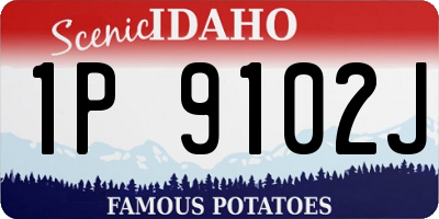 ID license plate 1P9102J