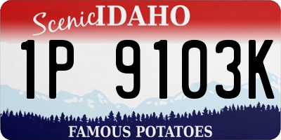 ID license plate 1P9103K