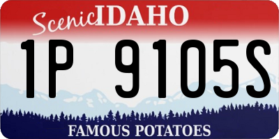 ID license plate 1P9105S