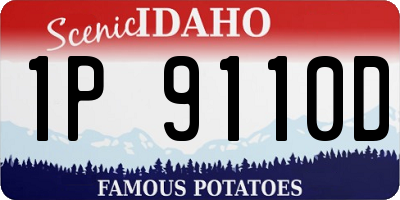 ID license plate 1P9110D