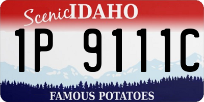 ID license plate 1P9111C