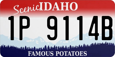 ID license plate 1P9114B