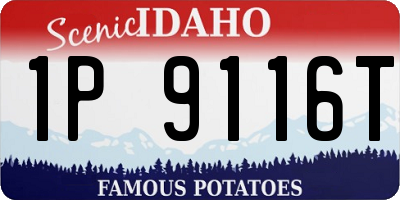 ID license plate 1P9116T