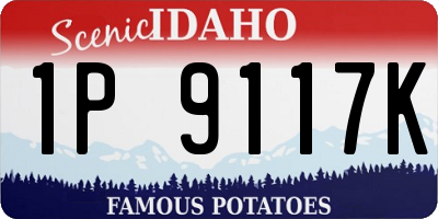 ID license plate 1P9117K