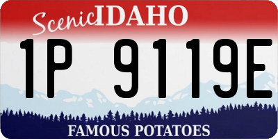 ID license plate 1P9119E