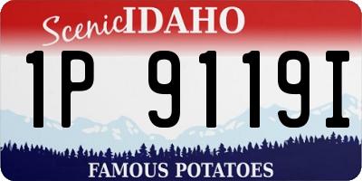 ID license plate 1P9119I