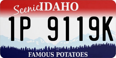 ID license plate 1P9119K