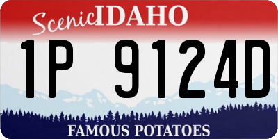 ID license plate 1P9124D