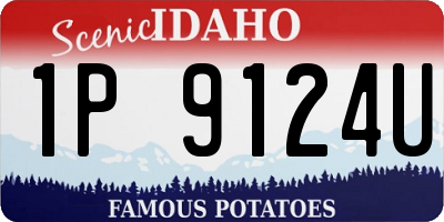 ID license plate 1P9124U