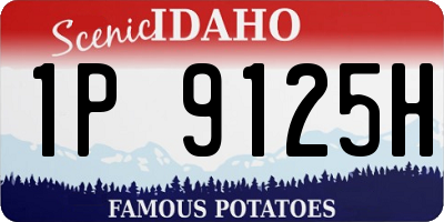 ID license plate 1P9125H