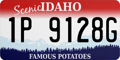 ID license plate 1P9128G