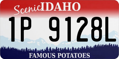 ID license plate 1P9128L