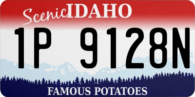 ID license plate 1P9128N