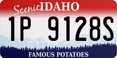 ID license plate 1P9128S