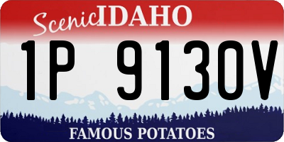 ID license plate 1P9130V