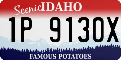 ID license plate 1P9130X