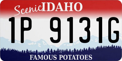 ID license plate 1P9131G