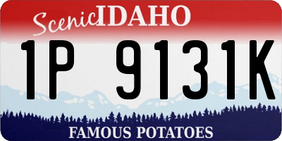 ID license plate 1P9131K
