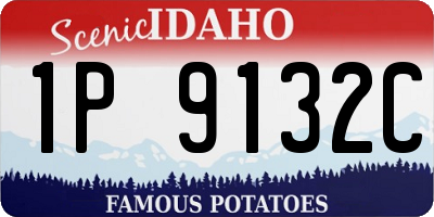 ID license plate 1P9132C