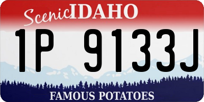 ID license plate 1P9133J
